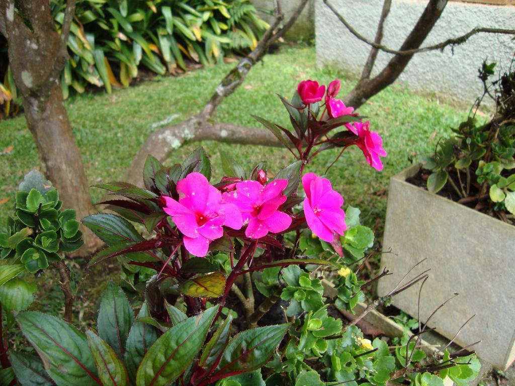 Sonho Verde Guest House Campos do Jordão المظهر الخارجي الصورة